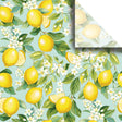 Lemon Tree Gift Tissue - BPT467.1a.jpg