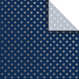 Judaic Gift Tissue - BPT636.1a.jpg