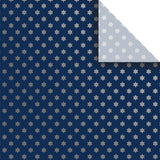 Judaic Gift Tissue - BPT636.1a.jpg