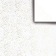 Pacific Coast Solid Tissue Paper — primary image