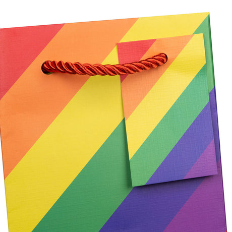 Rainbow Stripe - Wine Bag — additional view c