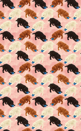 Curly Pup Games