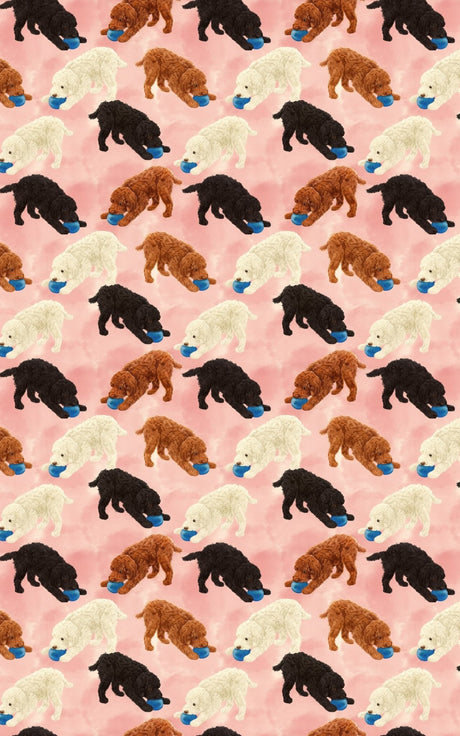 Curly Pup Games - Curly Dogs at Play Wrapping Paper