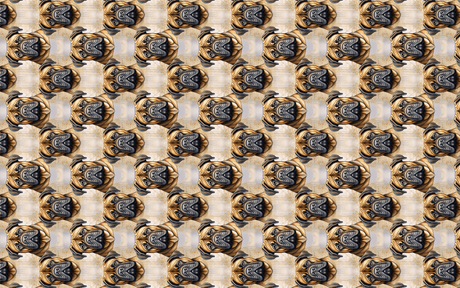 Big Buddy Bullmastiff Wrapping Paper