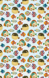 Fin-tastic Fiesta