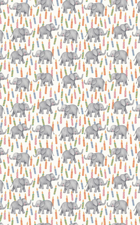 Elephant Birthday Bash