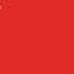 Bright Red PMS 485