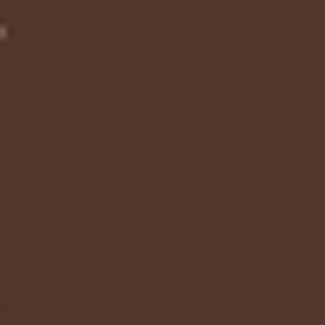 Brown PMS 476