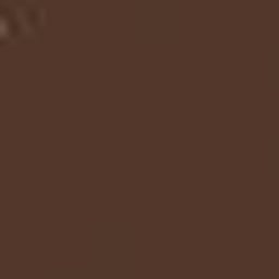 Brown PMS 476