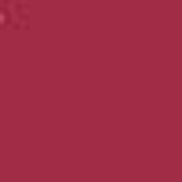 Burgundy PMS 194