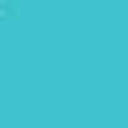 Caribbean Blue PMS 319