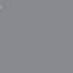 Cool Gray PMS 8