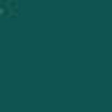 Dark Green PMS 330