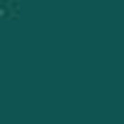 Dark Green PMS 330