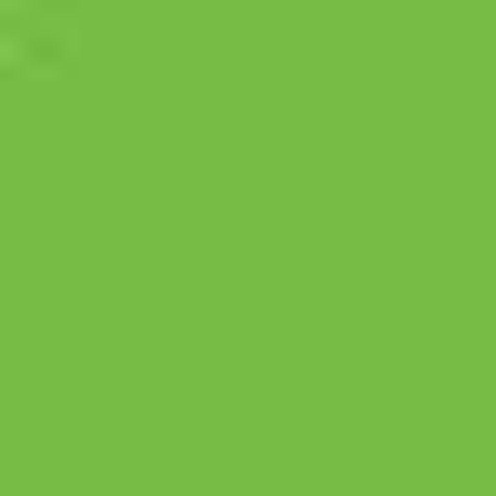 Kiwi Green PMS 368