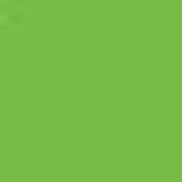 Kiwi Green PMS 368