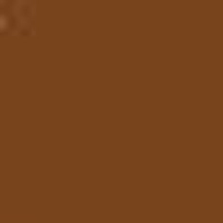 Metallic Bronze