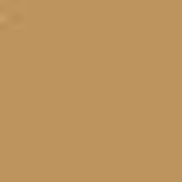 Tan PMS 465
