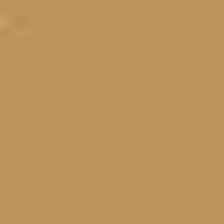 Tan PMS 465