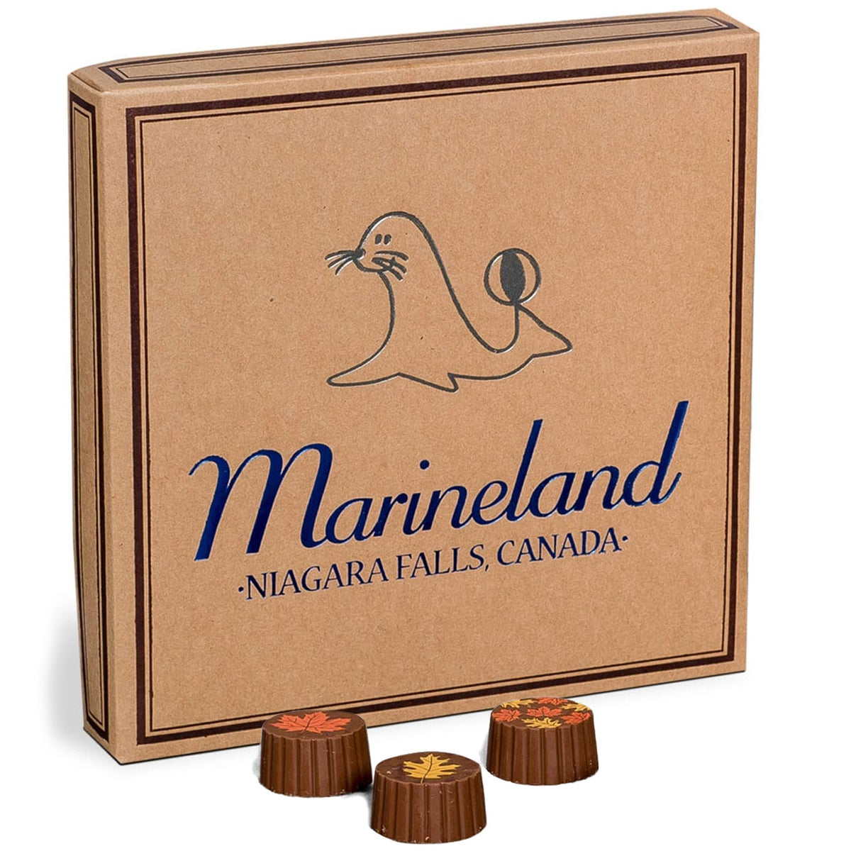 Hot-Stamp Print Set-Up Boxes