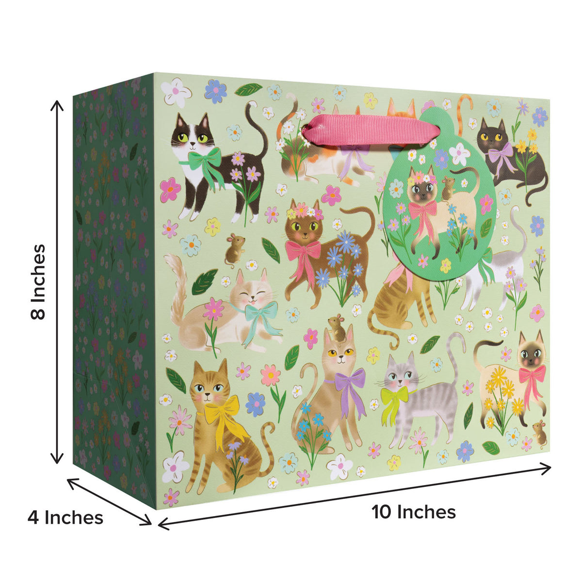 Caturday Gift Bag - GBM253.1b.jpg