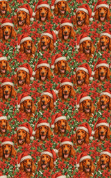 Festive Companions