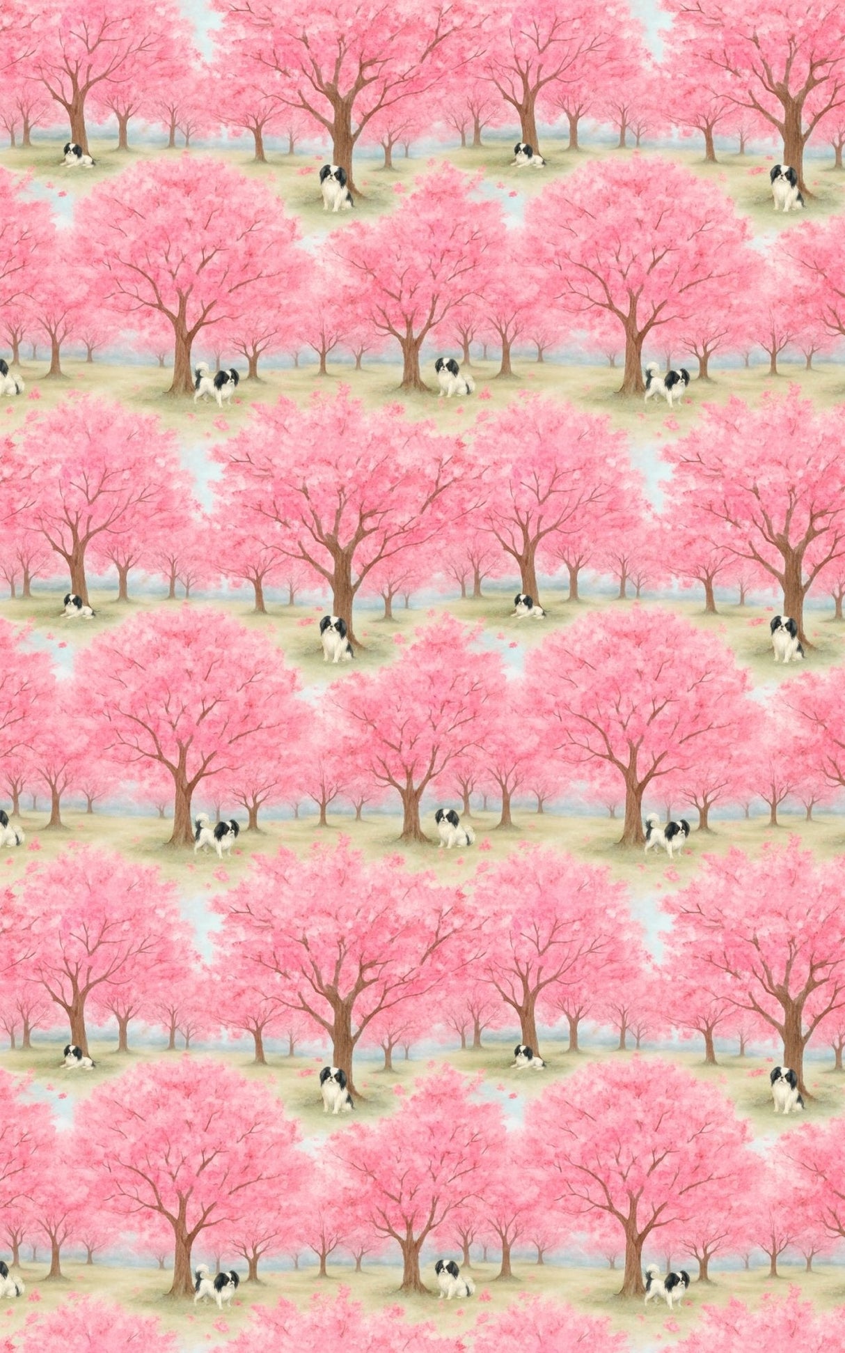 Japanese Chin