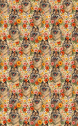 Garden Keeshond