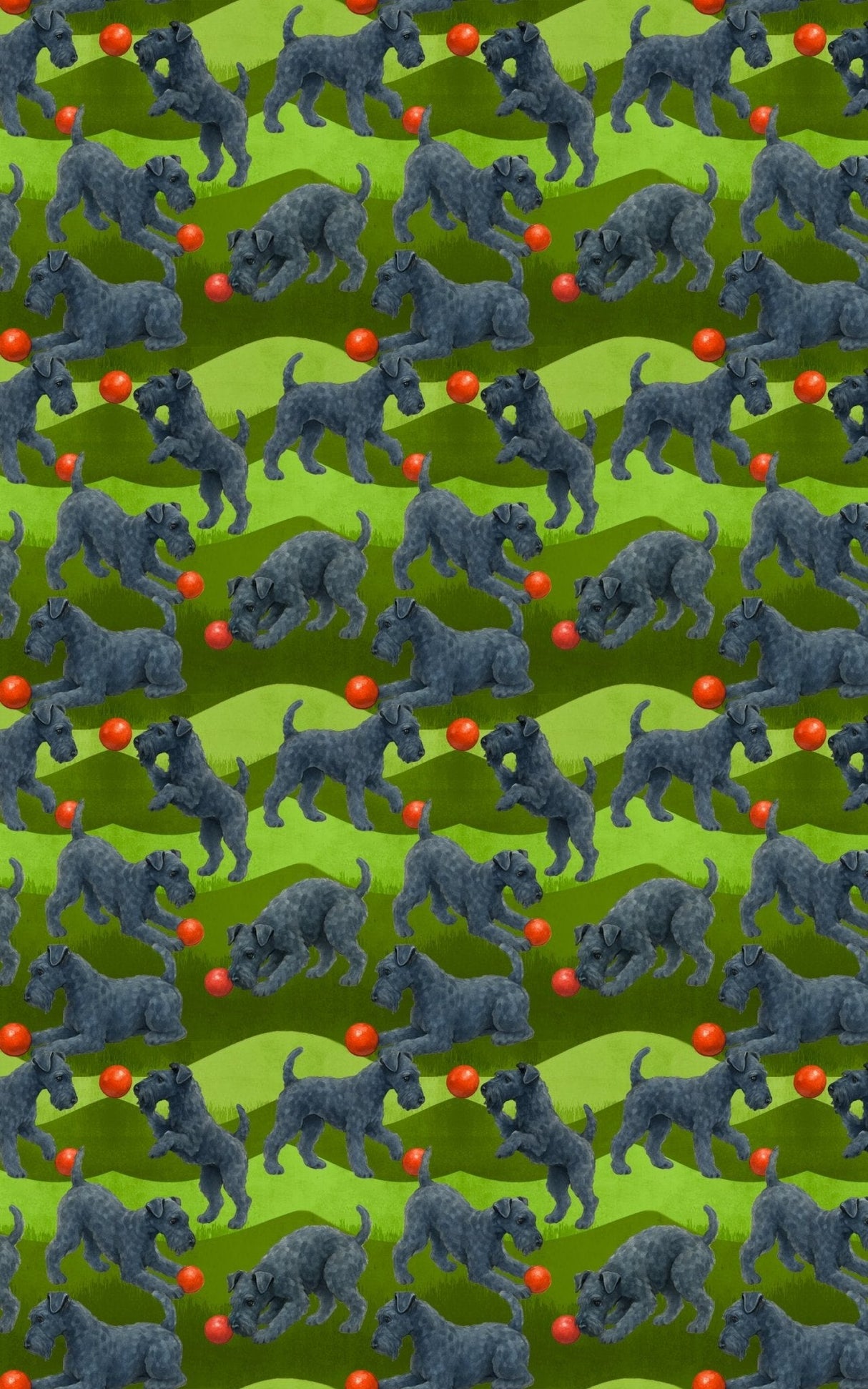 Garden Kerry Blue Terrier