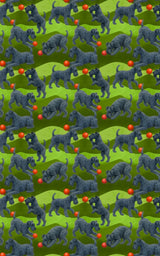Garden Kerry Blue Terrier
