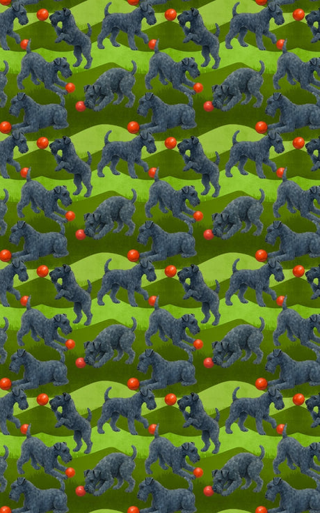 Garden Kerry Blue Terrier