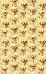 Fluffy Festivities