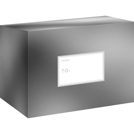 Metallic Silver - Theme Mailing Box — primary image