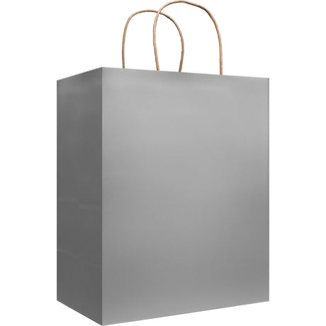 Metallic Silver - Gift Bag — primary image