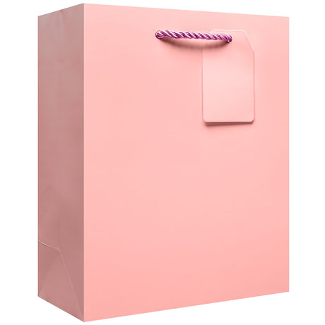 Matte Pastel Pink - Gift Bag w/Tag — primary image