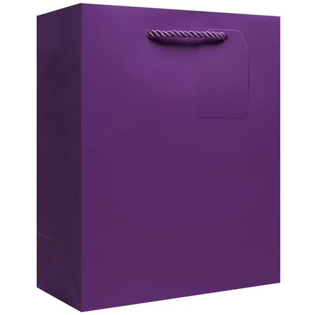 Matte Purple - Gift Bag w/Tag — primary image