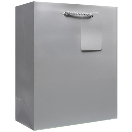 Matte Metallic Silver - Gift Bag w/Tag — primary image
