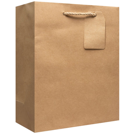 Kraft Matte - Gift Bag w/Tag — primary image
