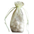Mint - Cardboard Bottom Organza Bag - 4 x 2 x 6"