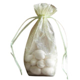 Mint - Cardboard Bottom Organza Bag - 4 x 2 x 6"