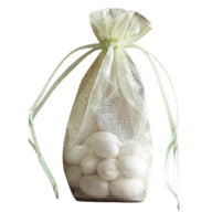Mint - Cardboard Bottom Organza Bag - 4 x 2 x 6"