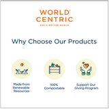 World Centric 5" x 5" Compostable 2-Ply Beverage Napkins – 100% Recycled Paper (QTY 4000), SKU NP-SC-BV