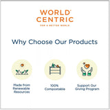 World Centric 6.5x6.5" 2-Ply Square Lunch Napkins Recycled Paper (QTY 4500), SKU NP-SC-LN