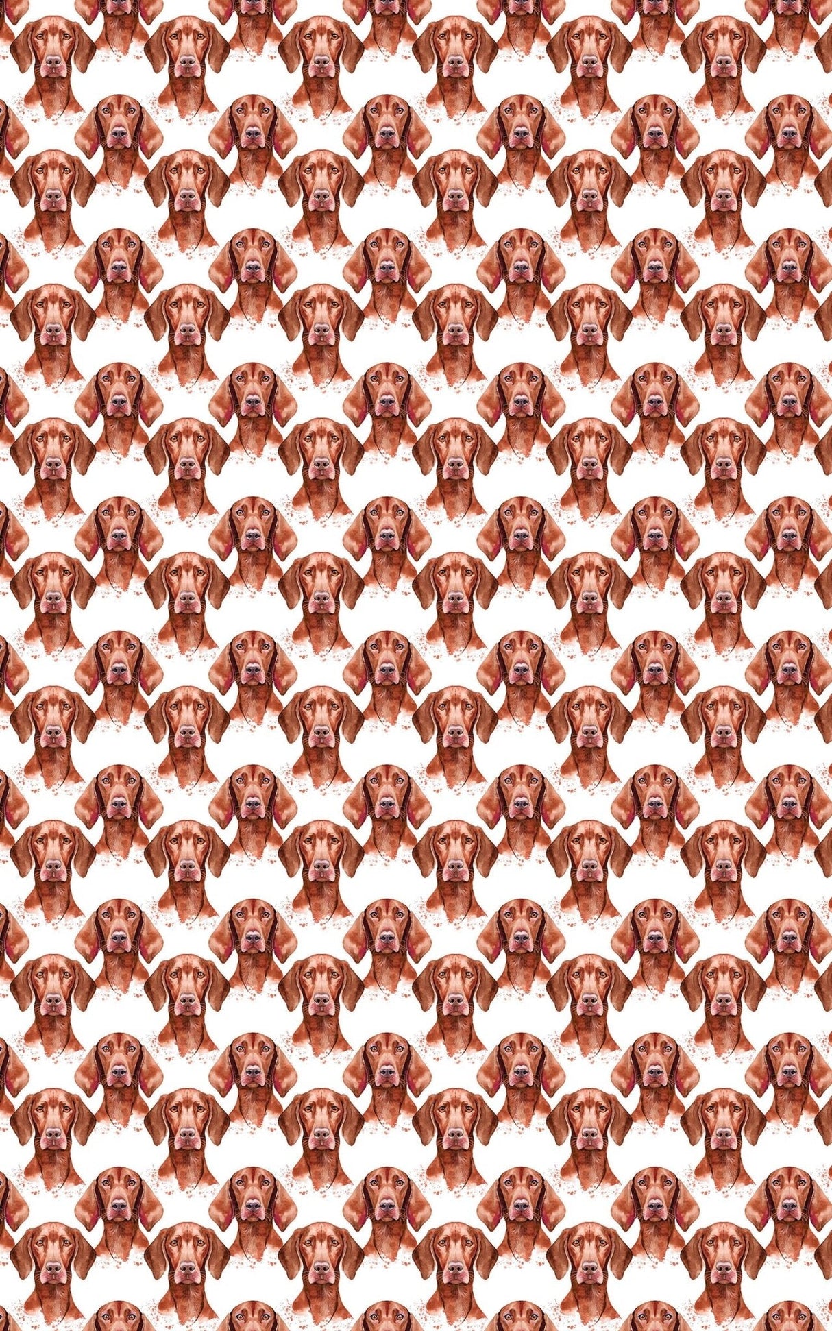 Velvet Vizsla