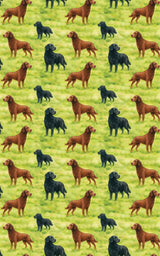 Retriever Whorls