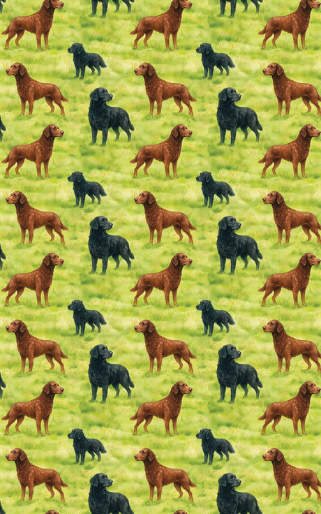 Retriever Whorls
