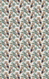 Winter Hoots