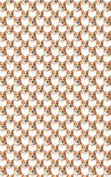 Corgi Wiggle Wrap