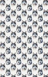 Arctic Howl Husky