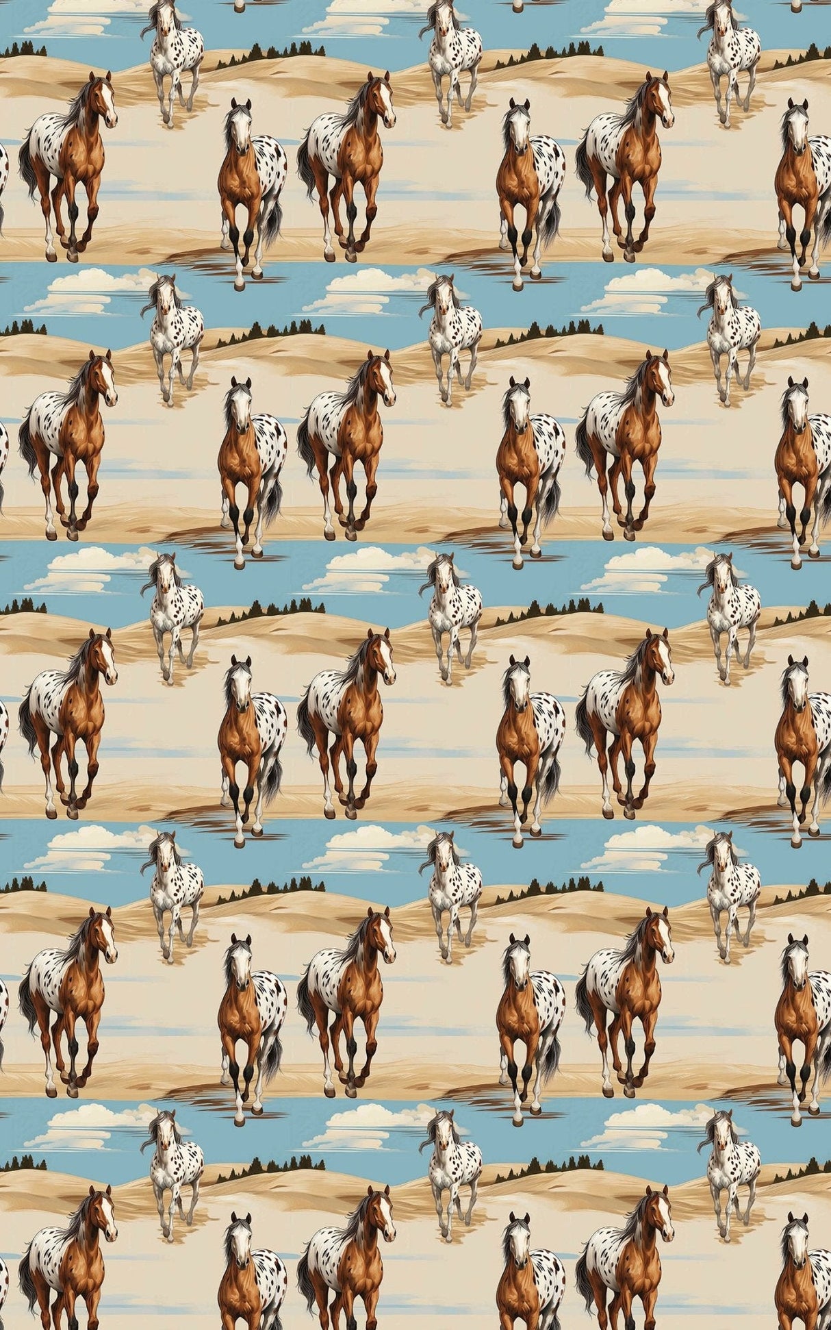Appaloosa Run